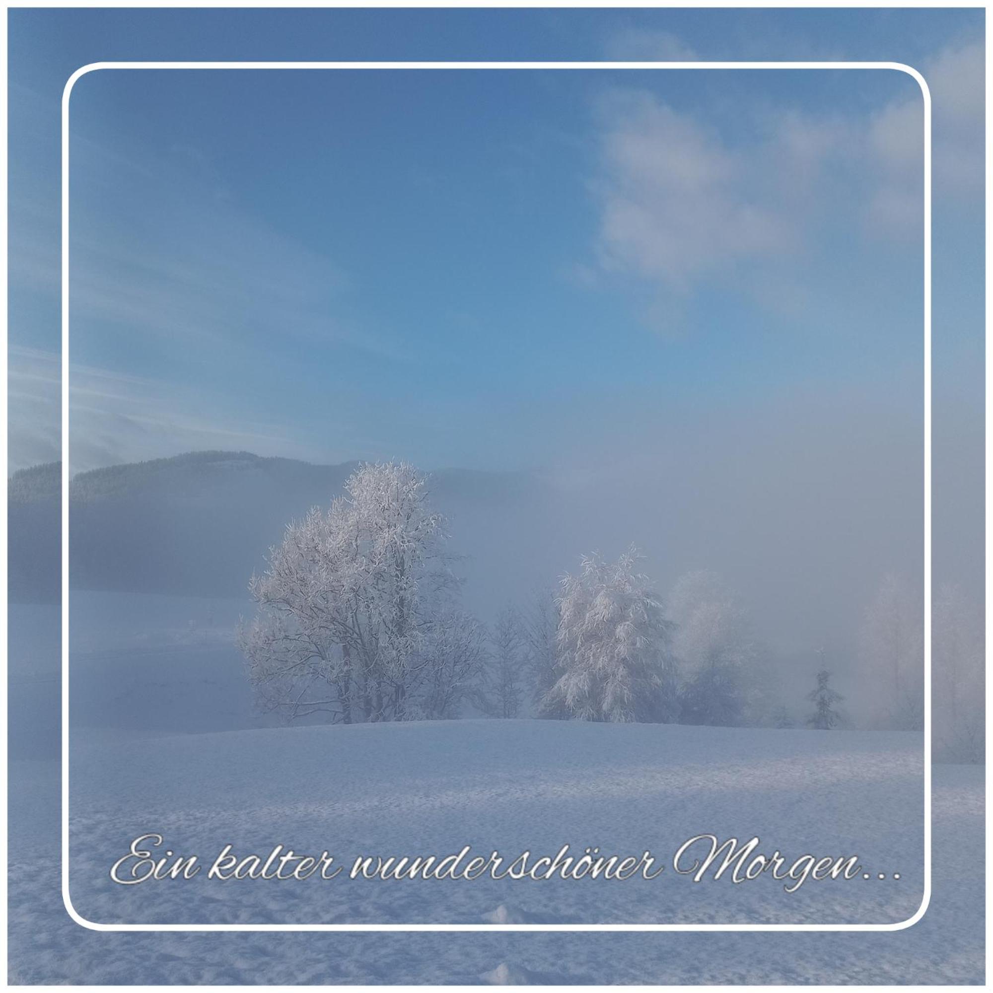 Chalet Gluecklich Sein... Ellmau Dış mekan fotoğraf